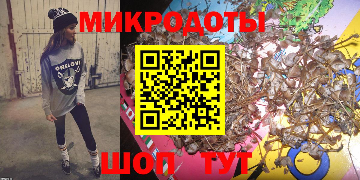 Похвистнево  купить закладку  Вход с VPN  Галлюциногенные грибы Psilocybine cubensis 